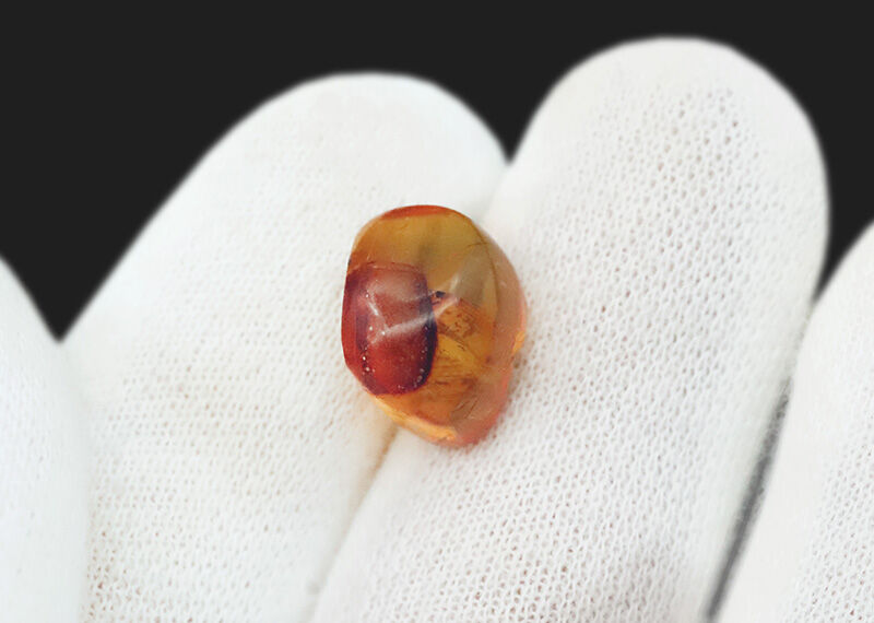 1.2cmに凝縮された密度の高い小宇宙……気泡と翅虫が奏でるドミニカ産琥珀（Amber）の天然ルース（その6）