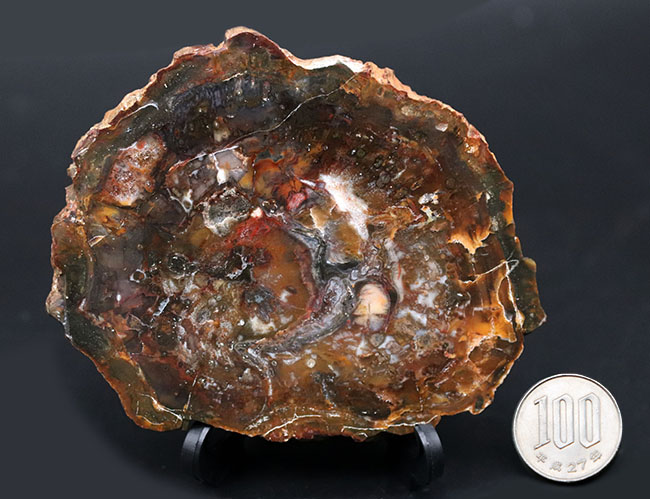 ヘビーコレクターほどその価値が分かるはず、グリーンっぽい