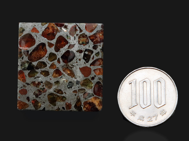 人気！ずっしり重いサイコロ型！世界で最も美しい隕石の二つ名を持つ、石鉄隕石、パラサイト（ケニア産）（その7）