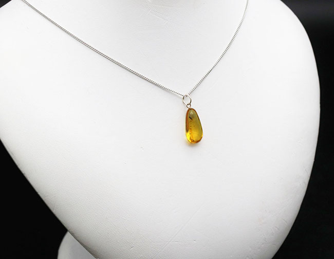 透明度抜群!アシナガバエ科の虫を内包したバルト海産琥珀(Amber)を使ったペンダントトップ(シルバーチェーン、高級ジュエリーケース付き。)(その3)