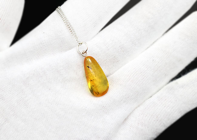 透明度抜群!アシナガバエ科の虫を内包したバルト海産琥珀(Amber)を使ったペンダントトップ(シルバーチェーン、高級ジュエリーケース付き。)(その4)