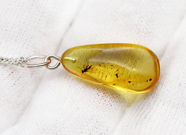 透明度抜群!アシナガバエ科の虫を内包したバルト海産琥珀(Amber)を使ったペンダントトップ(シルバーチェーン、高級ジュエリーケース付き。)(その5)