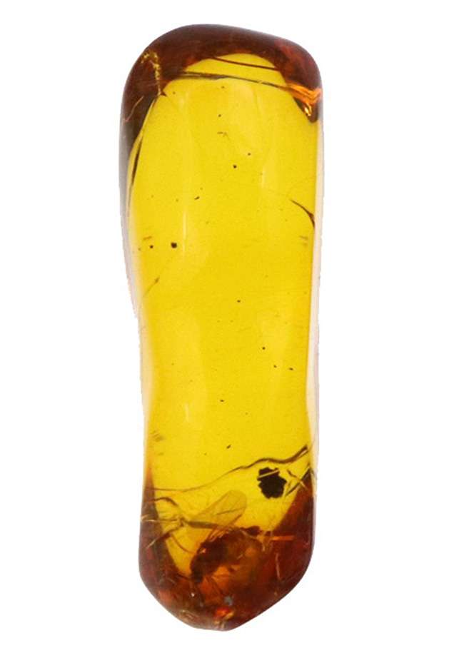 これ以上の透明度は望めない!ガラス並みにクリアな、虫入りバルト海産琥珀(Amber)(その2)