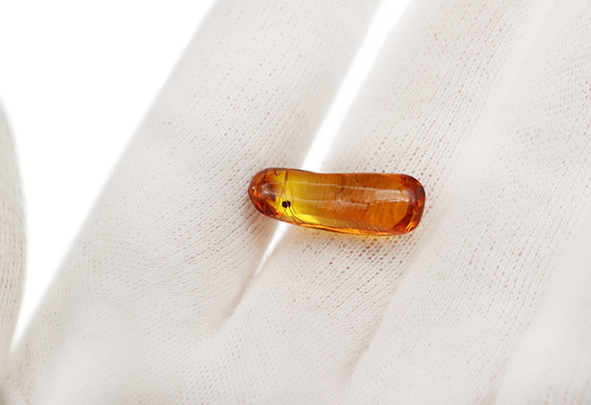 これ以上の透明度は望めない!ガラス並みにクリアな、虫入りバルト海産琥珀(Amber)(その4)