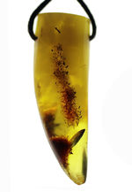 一部ミルキーアンバー化、バルト海産琥珀（Amber）を使ったペンダントトップ。高級ジュエリーケース付。