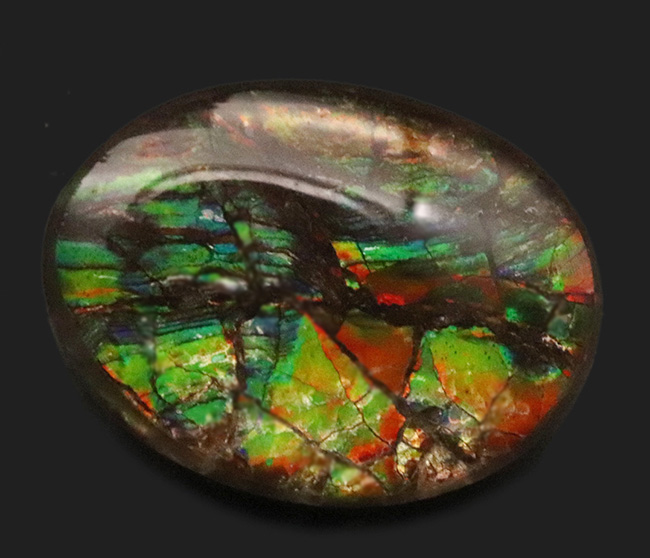 赤、橙、黄、緑など様々な色を呈する、希少な宝石、アンモライト（Ammolite）のピンプローチ（その1）