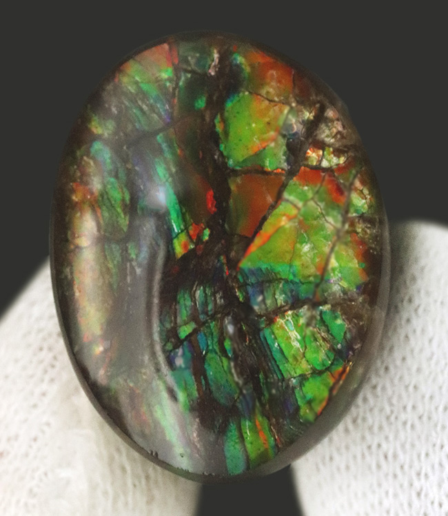 赤、橙、黄、緑など様々な色を呈する、希少な宝石、アンモライト（Ammolite）のピンプローチ（その2）
