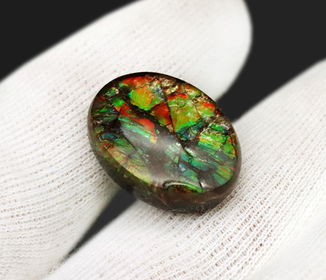 赤、橙、黄、緑など様々な色を呈する、希少な宝石、アンモライト（Ammolite）のピンプローチ（その4）