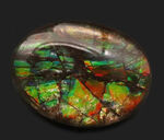 赤、橙、黄、緑など様々な色を呈する、希少な宝石、アンモライト（Ammolite）のピンプローチ
