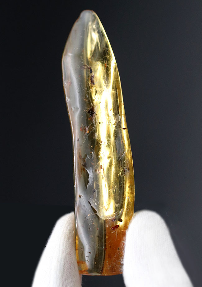 9センチオーバー!マダガスカル産の特大コーパル(Copal)。蜘蛛をはじめ、多数の昆虫を内包。(その5)