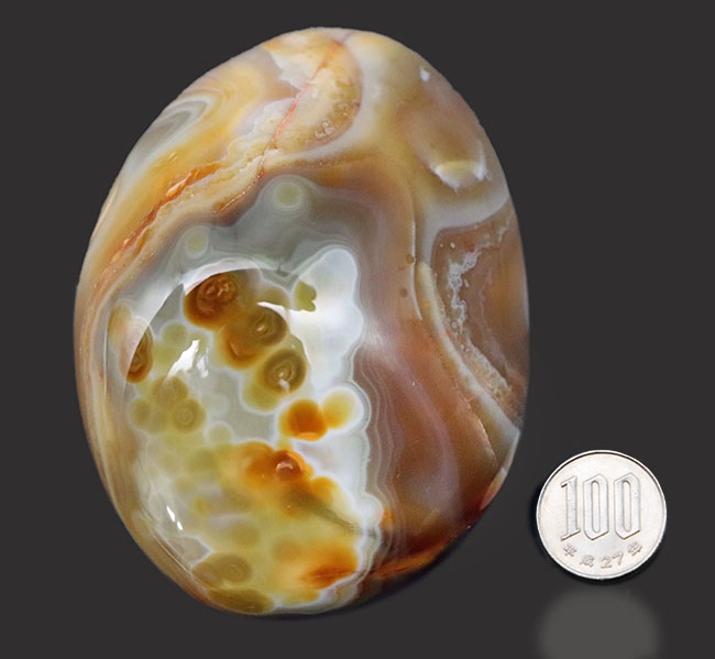 １０センチ級、大きい！豊富な色、さまざまな層模様を楽しめる、ゴージャスなメノウ（Agate）（その9）