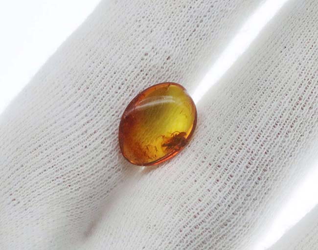 透明度高い！人類が生まれるはるか昔の虫を内包した、バルティック