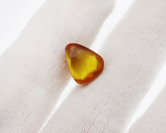 約3000万年前のアンバー!非常にクリアーな基質に、羽虫が包まれた、ドミニカ産の琥珀(Amber)(その4)