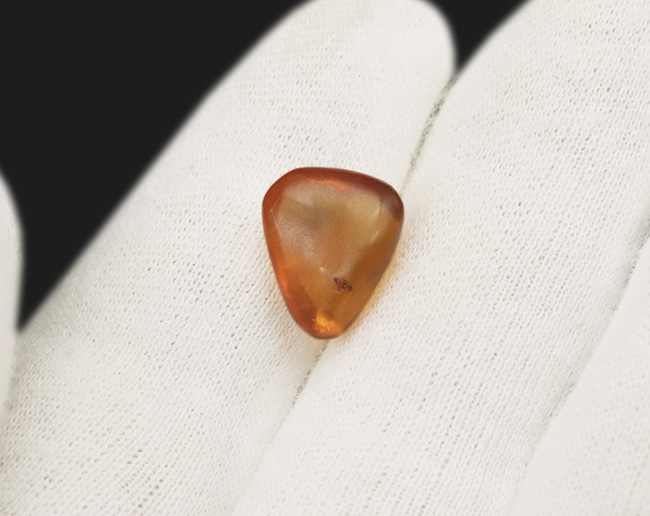 約3000万年前のアンバー!非常にクリアーな基質に、羽虫が包まれた、ドミニカ産の琥珀(Amber)(その5)