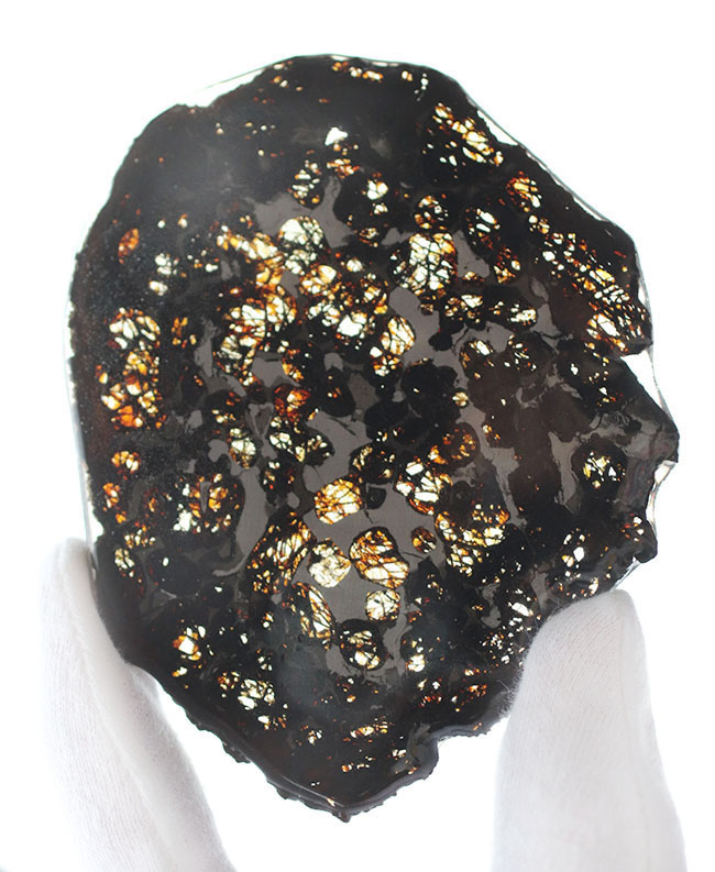 サイズ良し、状態良し！パラサイト隕石にご興味のある方におすすめしたい上質品、ケニヤ産パラサイト隕石（本体防錆処理済み）（その1）