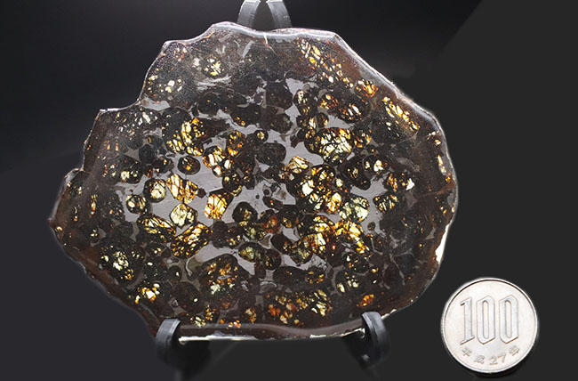 サイズ良し、状態良し！パラサイト隕石にご興味のある方におすすめしたい上質品、ケニヤ産パラサイト隕石（本体防錆処理済み）（その10）