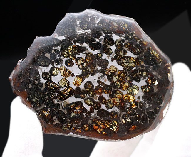 サイズ良し、状態良し！パラサイト隕石にご興味のある方におすすめしたい上質品、ケニヤ産パラサイト隕石（本体防錆処理済み）（その4）