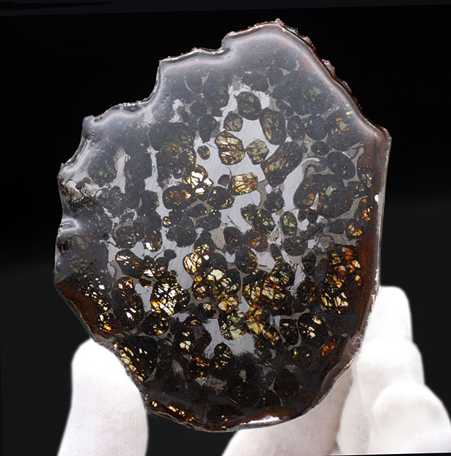サイズ良し、状態良し！パラサイト隕石にご興味のある方におすすめしたい上質品、ケニヤ産パラサイト隕石（本体防錆処理済み）（その5）