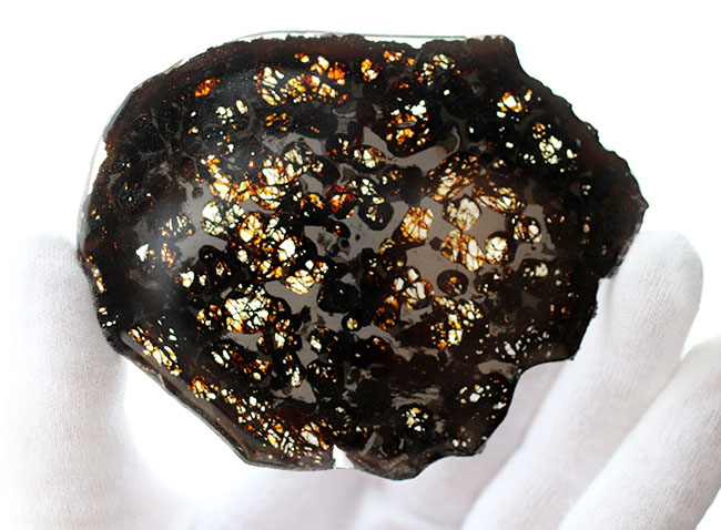 サイズ良し、状態良し！パラサイト隕石にご興味のある方におすすめしたい上質品、ケニヤ産パラサイト隕石（本体防錆処理済み）（その8）