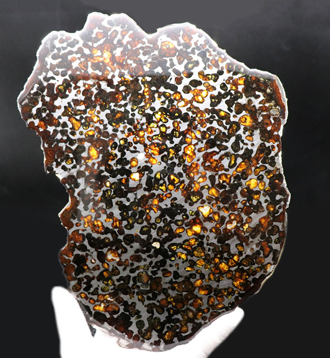 パラサイト隕石に抱く常識的なイメージを根底から覆す、ギガサイズ（最大部２６センチオーバー）の特大ケニヤ産パラサイト隕石（本体防錆処理済み）（その1）