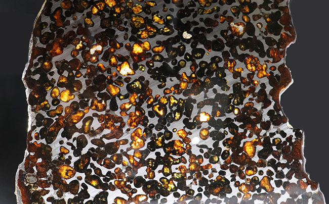 パラサイト隕石に抱く常識的なイメージを根底から覆す、ギガサイズ（最大部２６センチオーバー）の特大ケニヤ産パラサイト隕石（本体防錆処理済み）（その5）