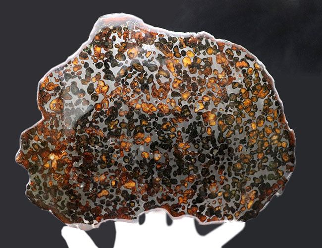 パラサイト隕石に抱く常識的なイメージを根底から覆す、ギガサイズ（最大部２６センチオーバー）の特大ケニヤ産パラサイト隕石（本体防錆処理済み）（その8）