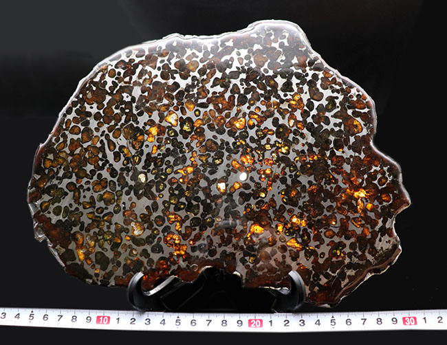 パラサイト隕石に抱く常識的なイメージを根底から覆す、ギガサイズ（最大部２６センチオーバー）の特大ケニヤ産パラサイト隕石（本体防錆処理済み）（その9）