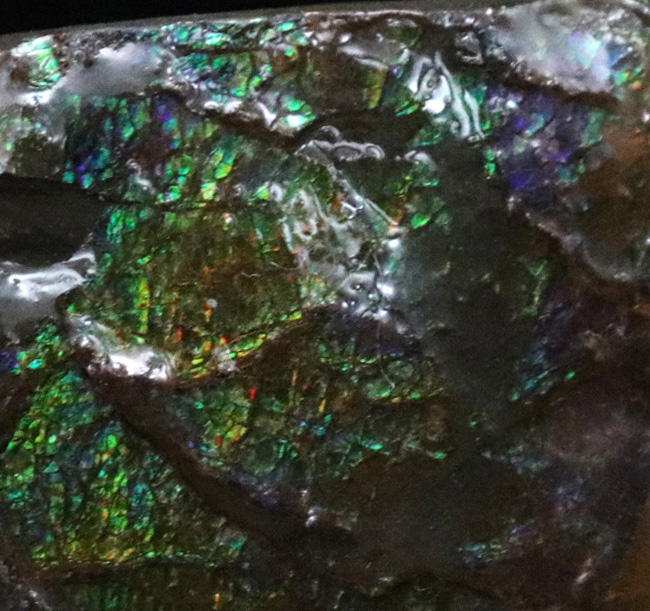カナダ・アルバータの大地の恵み!赤と緑のハーモニーが見事なアンモライト(Ammolite)の原石(その5)