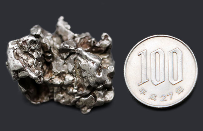 鉄の塊ですがロマンの塊でもあります！最も有名な鉄隕石の一つ、カンポ・デル・シエロ（その7）
