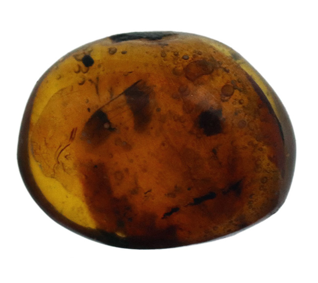 小さな玉に神秘とロマンが凝集!古代の虫の羽を内包したドミニカ産の琥珀(Amber)(その2)