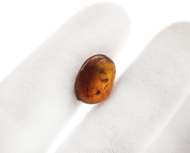 小さな玉に神秘とロマンが凝集!古代の虫の羽を内包したドミニカ産の琥珀(Amber)(その7)