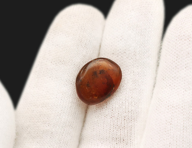 小さな玉に神秘とロマンが凝集!古代の虫の羽を内包したドミニカ産の琥珀(Amber)(その8)