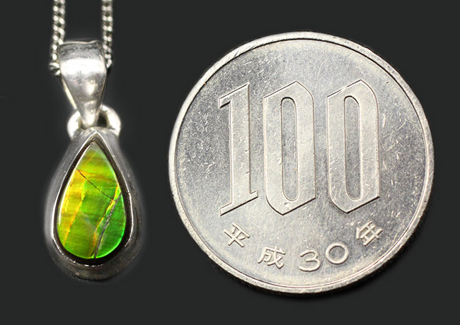 新緑の若葉のような美しい色合い！生物起源の宝石として１９８１年に世界宝石連盟に正式に宝石として認定されたアンモライト（Ammolite）を使ったペンダントトップ（その7）
