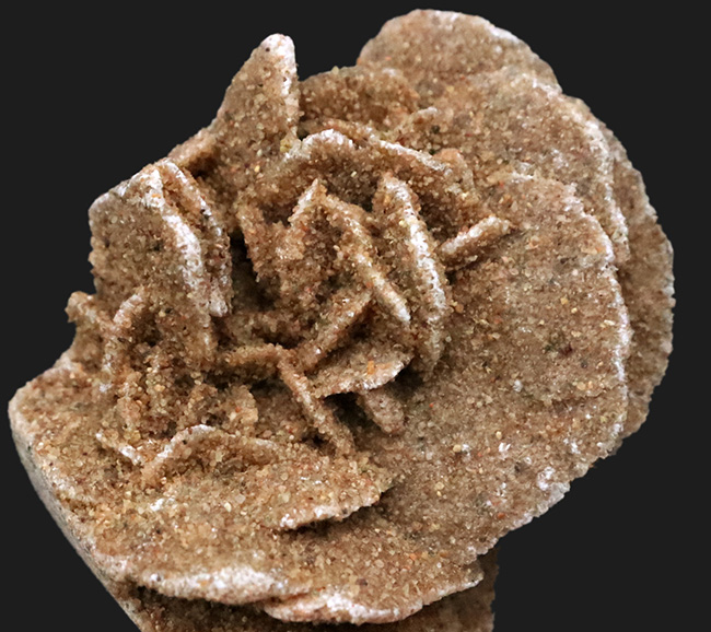 デスクや書斎にちょこっと置くのに最適。まさに花びら状に結晶成長した砂漠のバラ（Desert Rose）（その1）