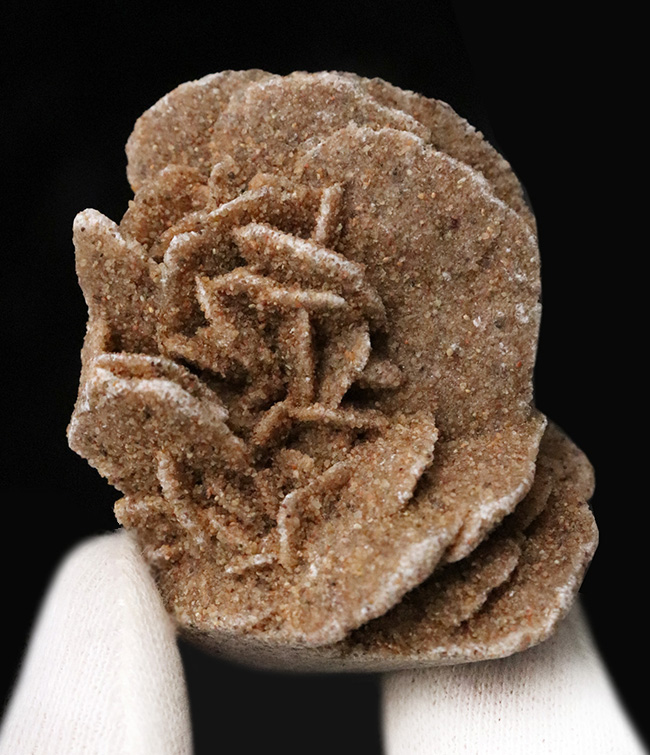 デスクや書斎にちょこっと置くのに最適。まさに花びら状に結晶成長した砂漠のバラ（Desert Rose）（その2）