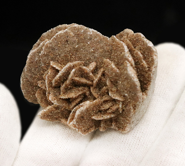 デスクや書斎にちょこっと置くのに最適。まさに花びら状に結晶成長した砂漠のバラ（Desert Rose）（その3）