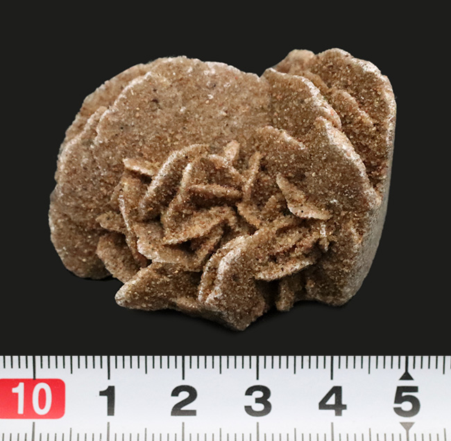 デスクや書斎にちょこっと置くのに最適。まさに花びら状に結晶成長した砂漠のバラ（Desert Rose）（その6）