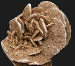 デスクや書斎にちょこっと置くのに最適。まさに花びら状に結晶成長した砂漠のバラ（Desert Rose）