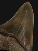 お客様の声　写真