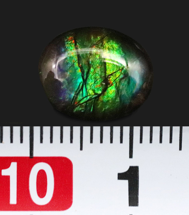 鮮やかなグリーンを呈する、宝石アンモライト(Ammolite)を使ったピンプローチ(その5)