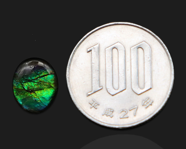 鮮やかなグリーンを呈する、宝石アンモライト(Ammolite)を使ったピンプローチ(その6)