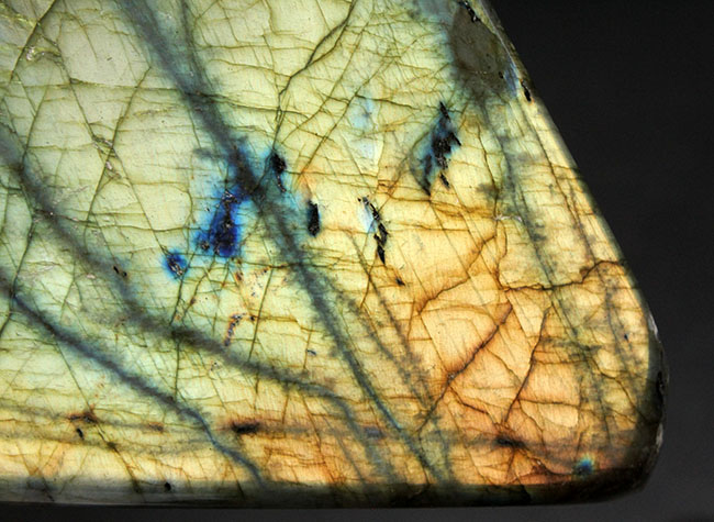 まれに見るハイクラス品!表と裏で別の色に輝く!12センチの巨大ラブラドライト(Labradorite)(その11)