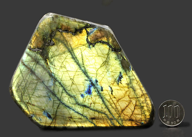 まれに見るハイクラス品!表と裏で別の色に輝く!12センチの巨大ラブラドライト(Labradorite)(その13)
