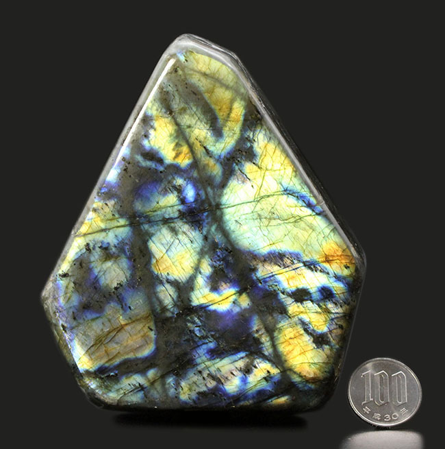 まれに見るハイクラス品!表と裏で別の色に輝く!12センチの巨大ラブラドライト(Labradorite)(その14)