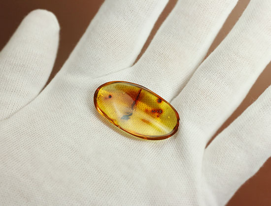 ３千万年前の羽アリの仲間を内包した、非常に透明度の高いドミニカ産の琥珀（Amber）です。（その7）