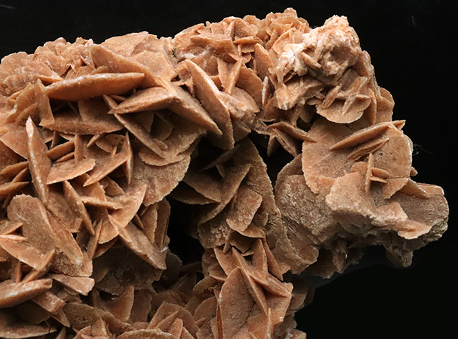 19センチ級! 美しい結晶が織りなす、サハラ砂漠が生んだ美しき鉱物、砂漠のバラ(Desert Rose)(その3)