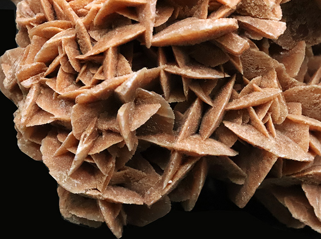 19センチ級! 美しい結晶が織りなす、サハラ砂漠が生んだ美しき鉱物、砂漠のバラ(Desert Rose)(その4)