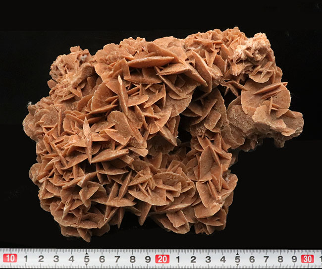 19センチ級! 美しい結晶が織りなす、サハラ砂漠が生んだ美しき鉱物、砂漠のバラ(Desert Rose)(その6)