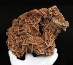 19センチ級！ 美しい結晶が織りなす、サハラ砂漠が生んだ美しき鉱物、砂漠のバラ（Desert Rose）
