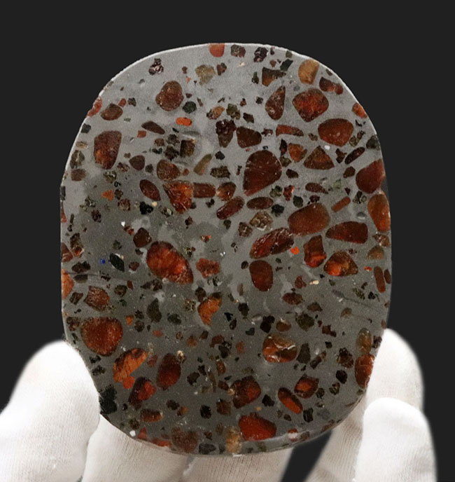 透明度高い！世界で最も美しい隕石と評される、パラサイト隕石。フレッシュなケニア産の標本！（その1）